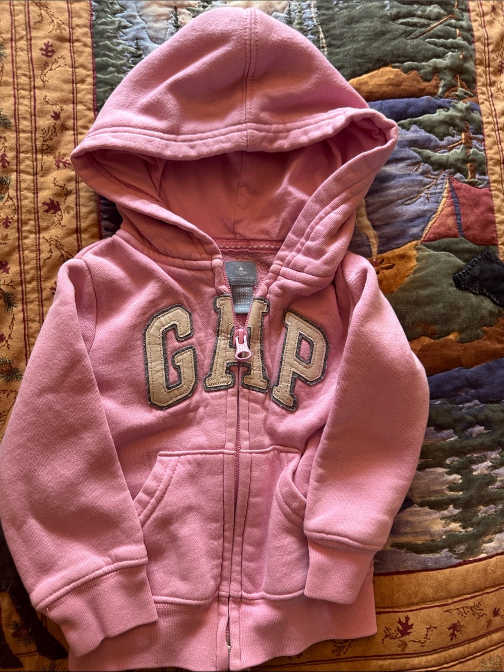 GAP Pink Hooded Zip Sweatshirt with Logo Applique